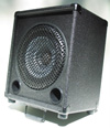 Redstone Audio RS-10V Speaker
