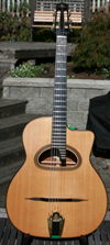 2005 Shelley Park Elan 12 Fret D Hole Guitar (Serial #156 ) with HSC