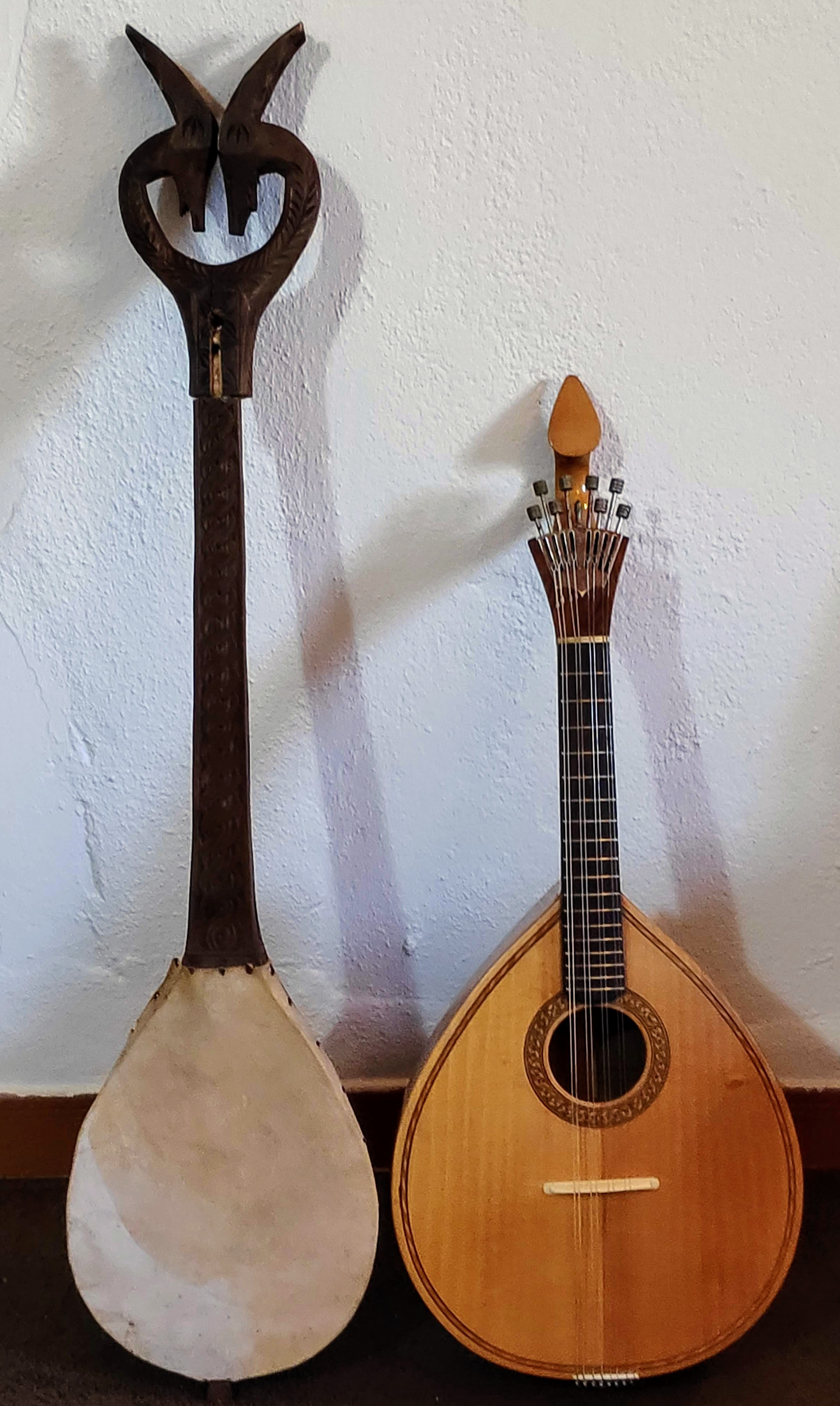 Instrument X+ mandolin.jpg