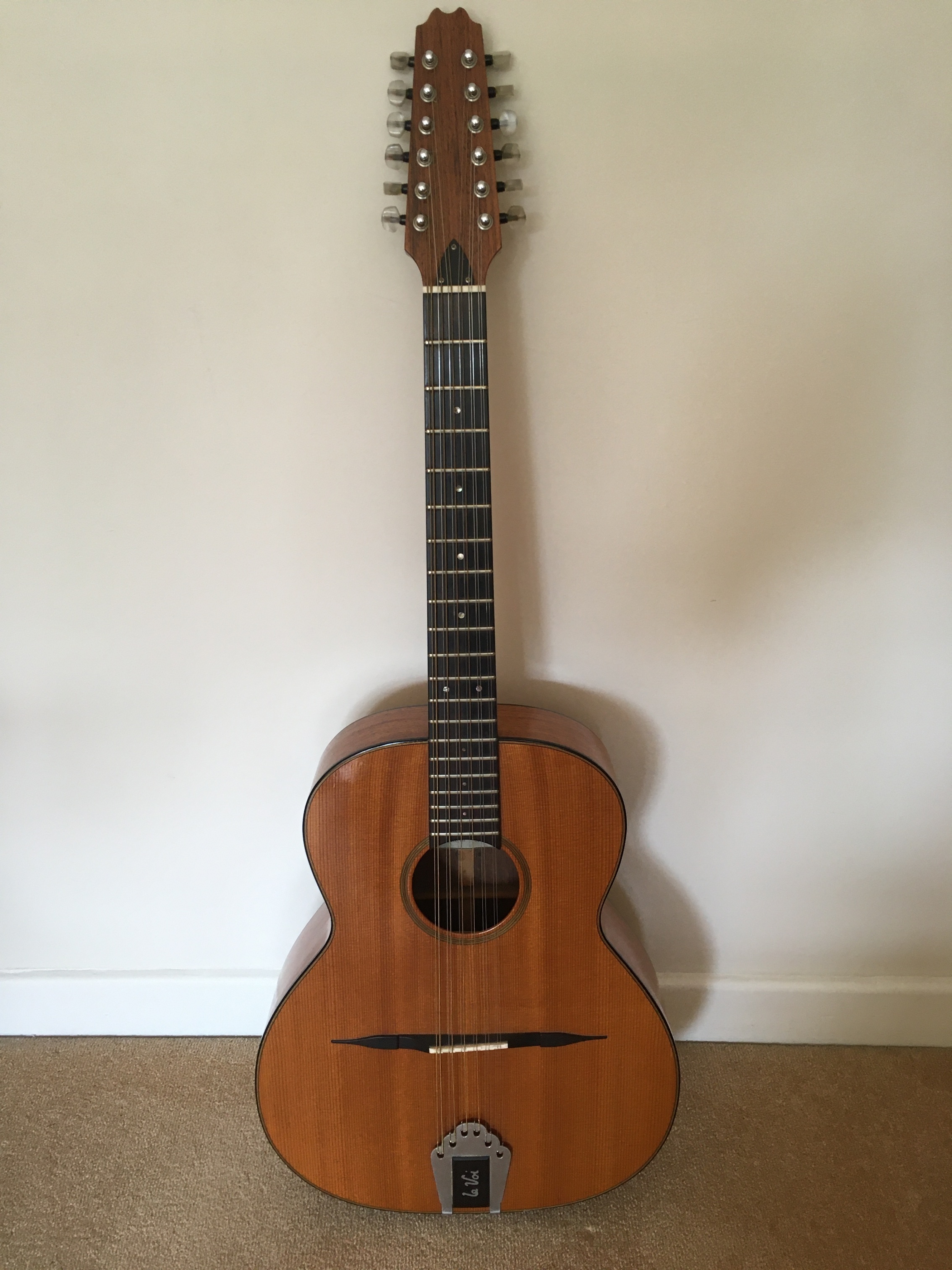 John Le Voi 12 String.jpg