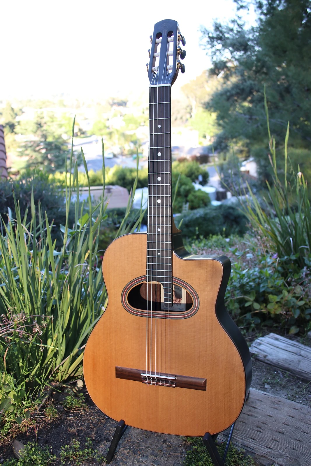 Gypsy Jazz Nylon Altamira M01D.jpeg