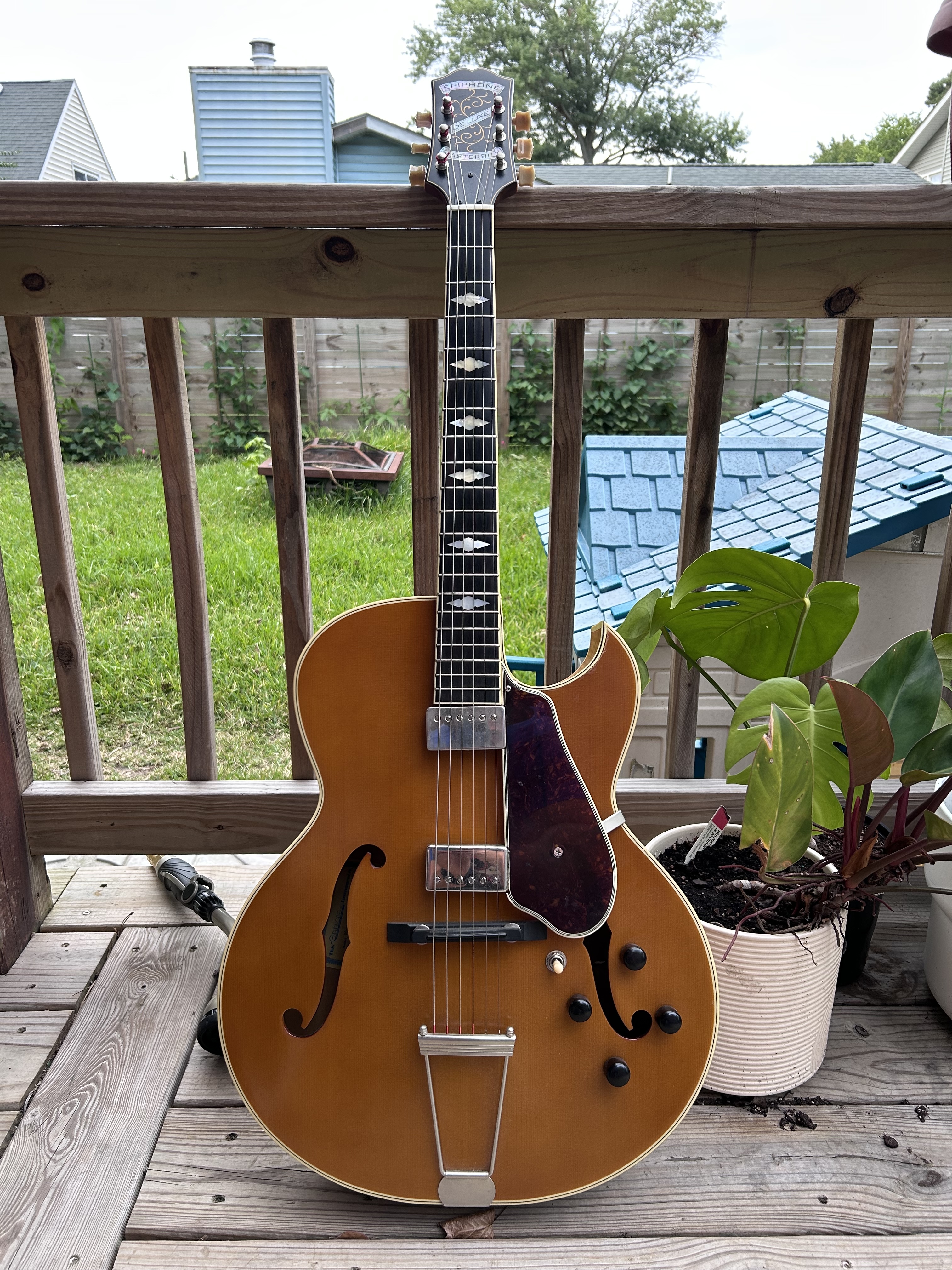 Betty Archtop.jpg