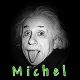 Michel 44