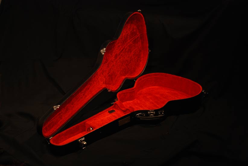 1_gypsycase