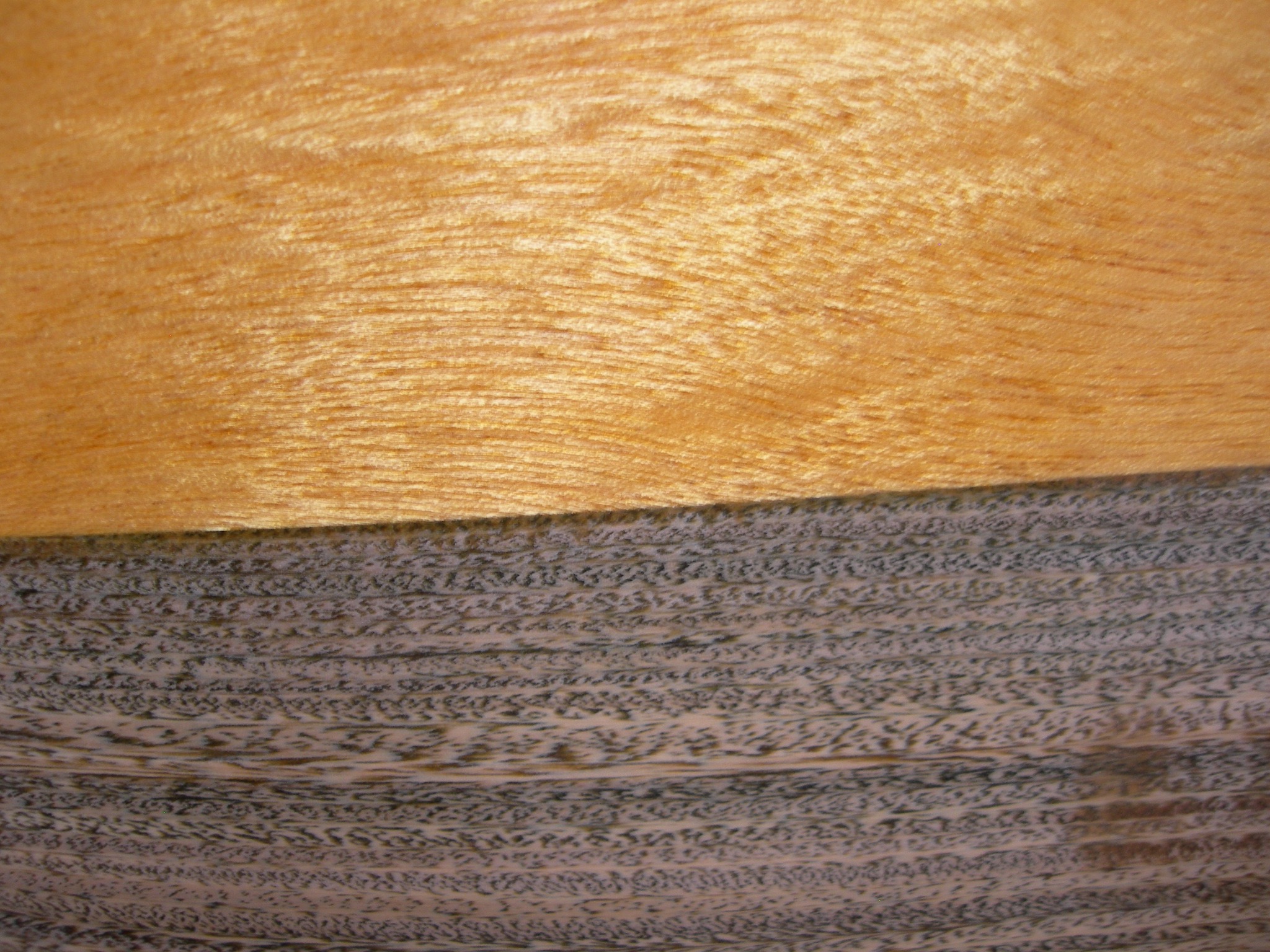 DSCN1839.JPG