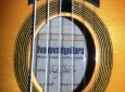 ivanovski-guitar-5
