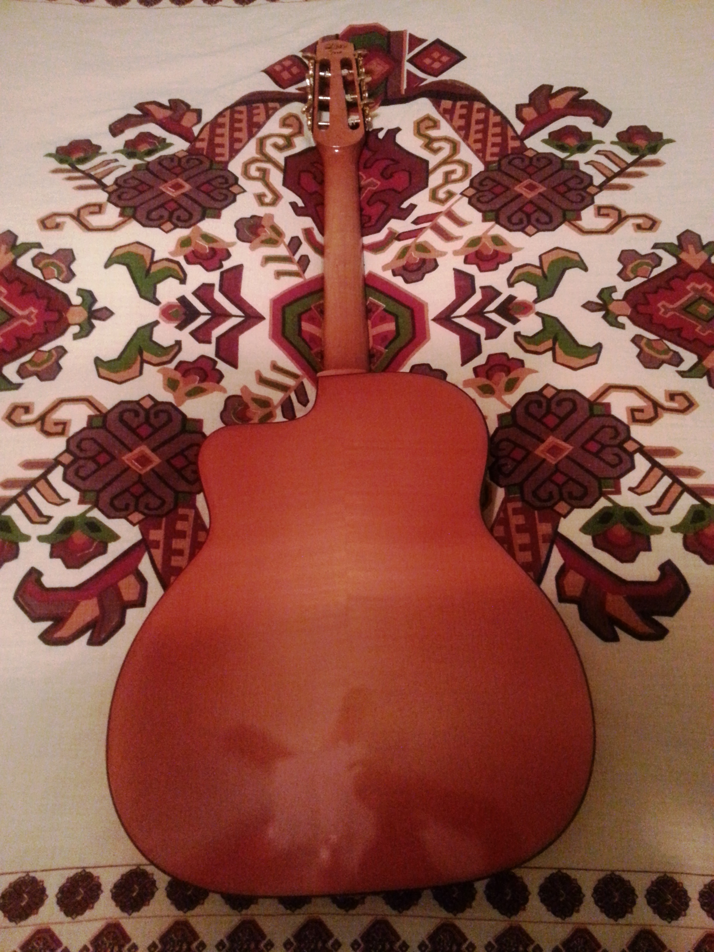 ivanovski-guitar-2