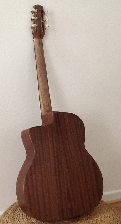 JW_guitar_full_back_1.jpg