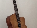 JW_guitar_full_angle_1.jpg