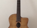 JW_guitar_full_front_1.jpg