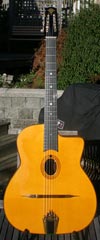 Peter Zwinakis Guitars