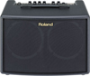 Roland Amplifiers