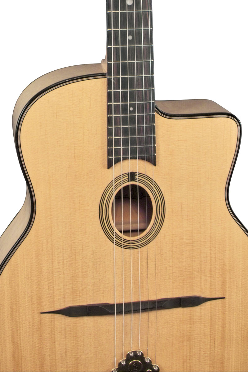 Pick & Boch  Vente de Guitare manouche Gitane DG 250 M en housse