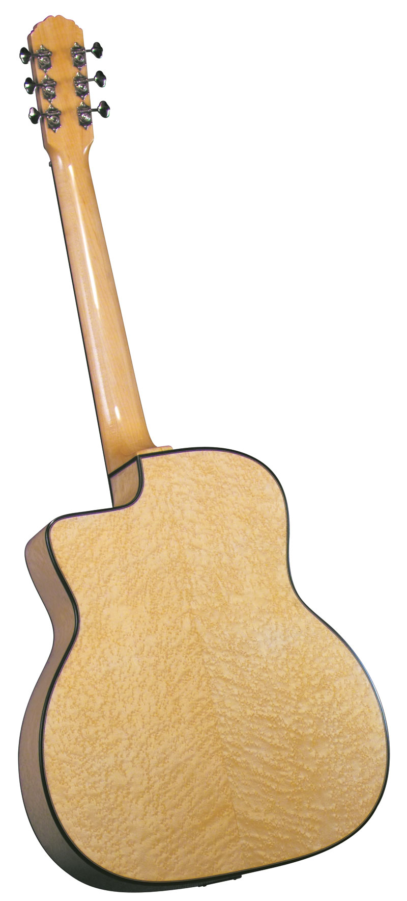 Pick & Boch  Vente de Guitare manouche Gitane DG 250 M en housse