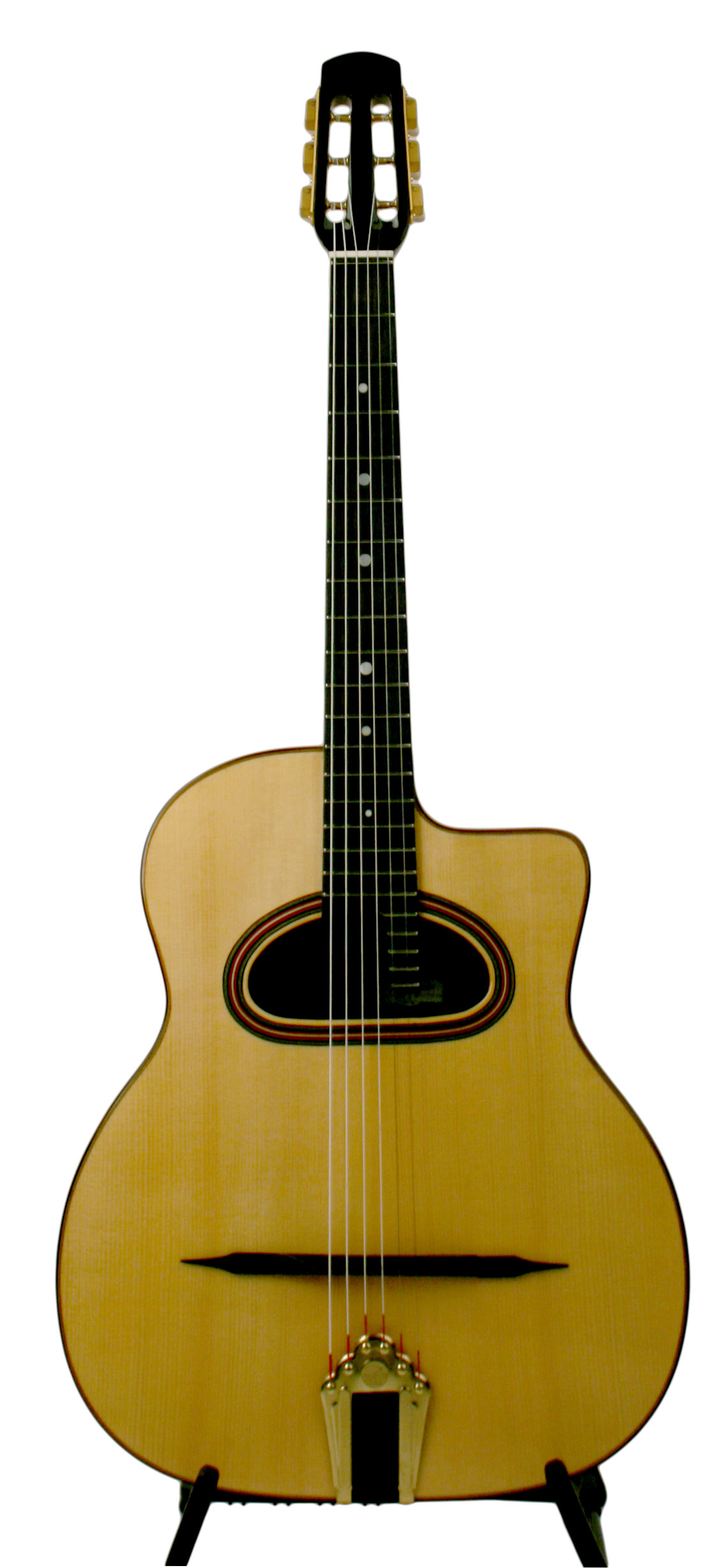 Altamira M01D 12 Fret - DjangoBooks.com