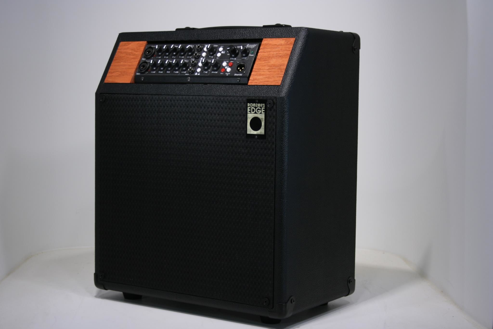 Raezer's Edge Stealth 10 Combo Speaker Cabinet (Includes Cover