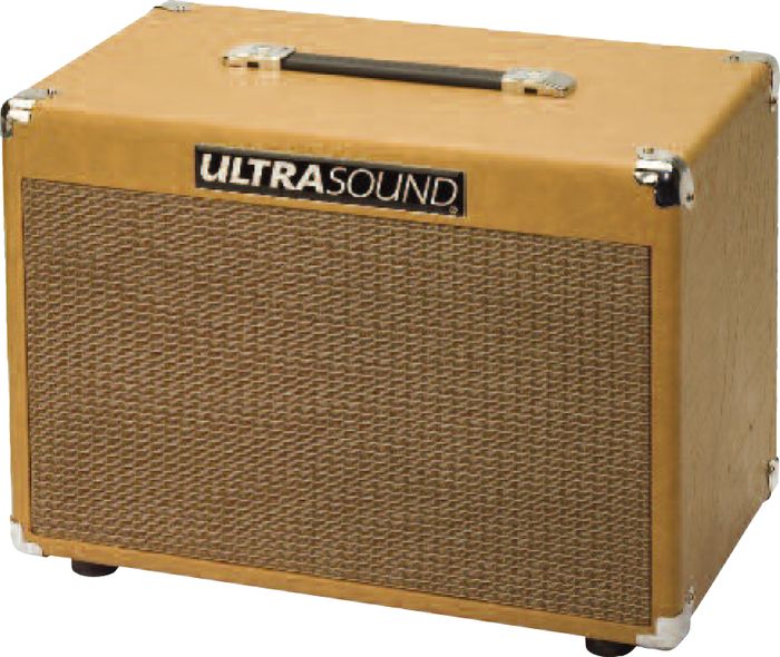 Ultrasound Xtc 50w 2x8 Acoustic Guitar Speaker Cabinet