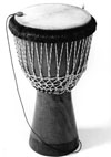 Schertler DYN-E Ethnic Instrument Transducer