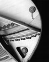 Schertler DYN-GP Piano Transducer