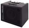 AER Alpha Plus Acoustic Amplifier