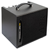 AER AMP ONE and GIGBAG