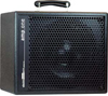 AER BOTTOM LINE AMP ONE with GIGBAG