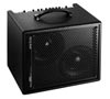 AER AMP THREE and GIGBAG