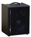 AER AMP TWO and GIGBAG