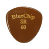 BlueChip SR60