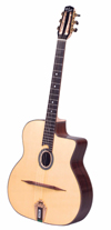 DELL’ARTE DG-RN1 ROBIN NOLAN (FAVINO STYLE) GUITAR ***THIS MODEL HAS BEEN DISCONTINUED***