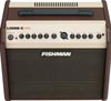 Fishman Loudbox Mini