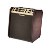 Fishman Loudbox Performer