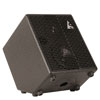 Godin Acoustic Solutions ASG-75 Black