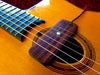 Krivo Nuevo Classic Single Coil Gypsy Jazz Guitar Pickup