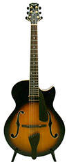 Peerless Martin Taylor Virtuoso