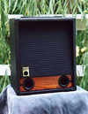 Raezer’s Edge Bass 10 Speaker Cabinet (Includes Cover)