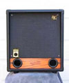 Raezer’s Edge Stealth 10-ER Guitar Speaker Cabinet (Includes Cover)