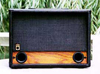 Raezer’s Edge Twin 8 Light Weight Speaker Cabinet (Includes Cover)