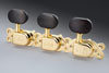 Schaller Classic Deluxe Tuners (Gold - Ebony Buttons)