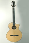 Schertler SM Steel String Guitar