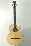 Schertler SP Steel String Guitar