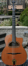 2006 Shelley Park Elan Short Scale 14 Fret D Hole Guitar (Serial #188)with Hardshell Case ***SOLD!!!