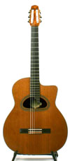 2009 Park Jazz Nylon ***NEW PRICE!!!***