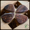 Timber Tones Thai Rosewood Pack of 4